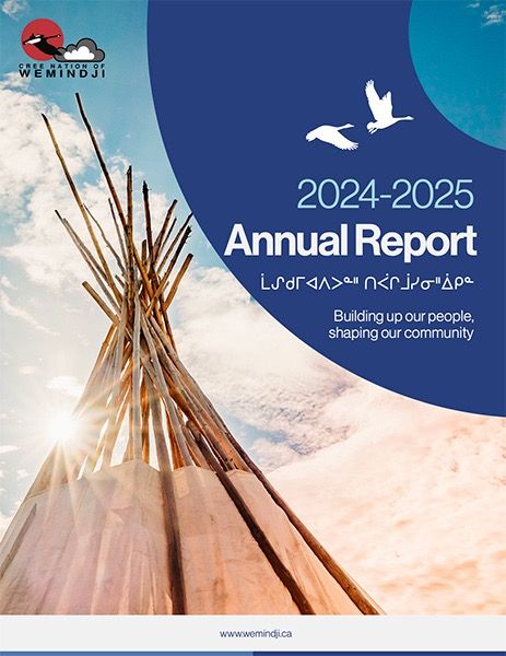 Annual Report 2024-2025